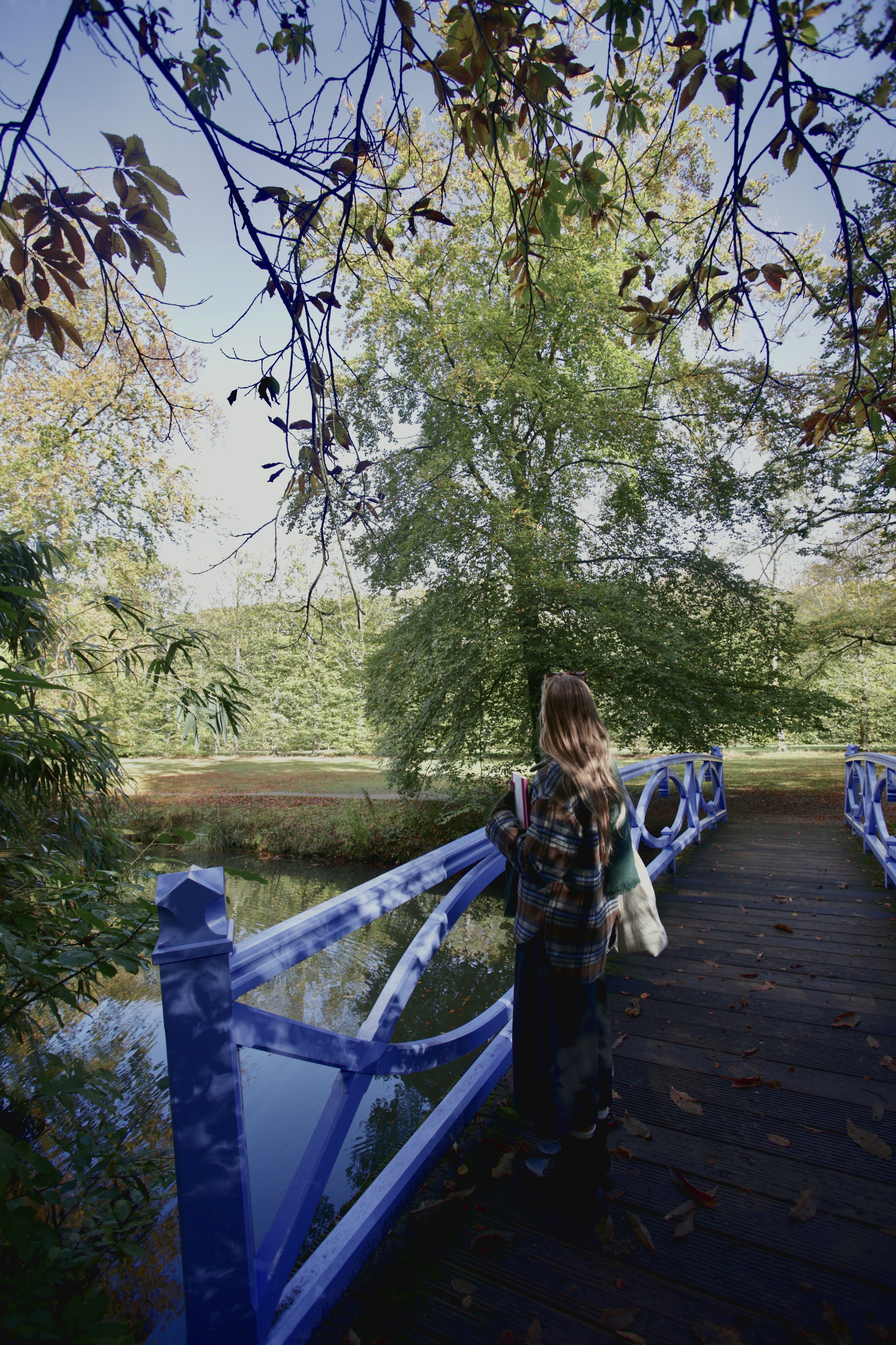 took a LOT of scenic fall walks these past two months, not that there's any proof of that here, since my film rolls are still held hostage (being developed...) so for now here's some digital proof ;)